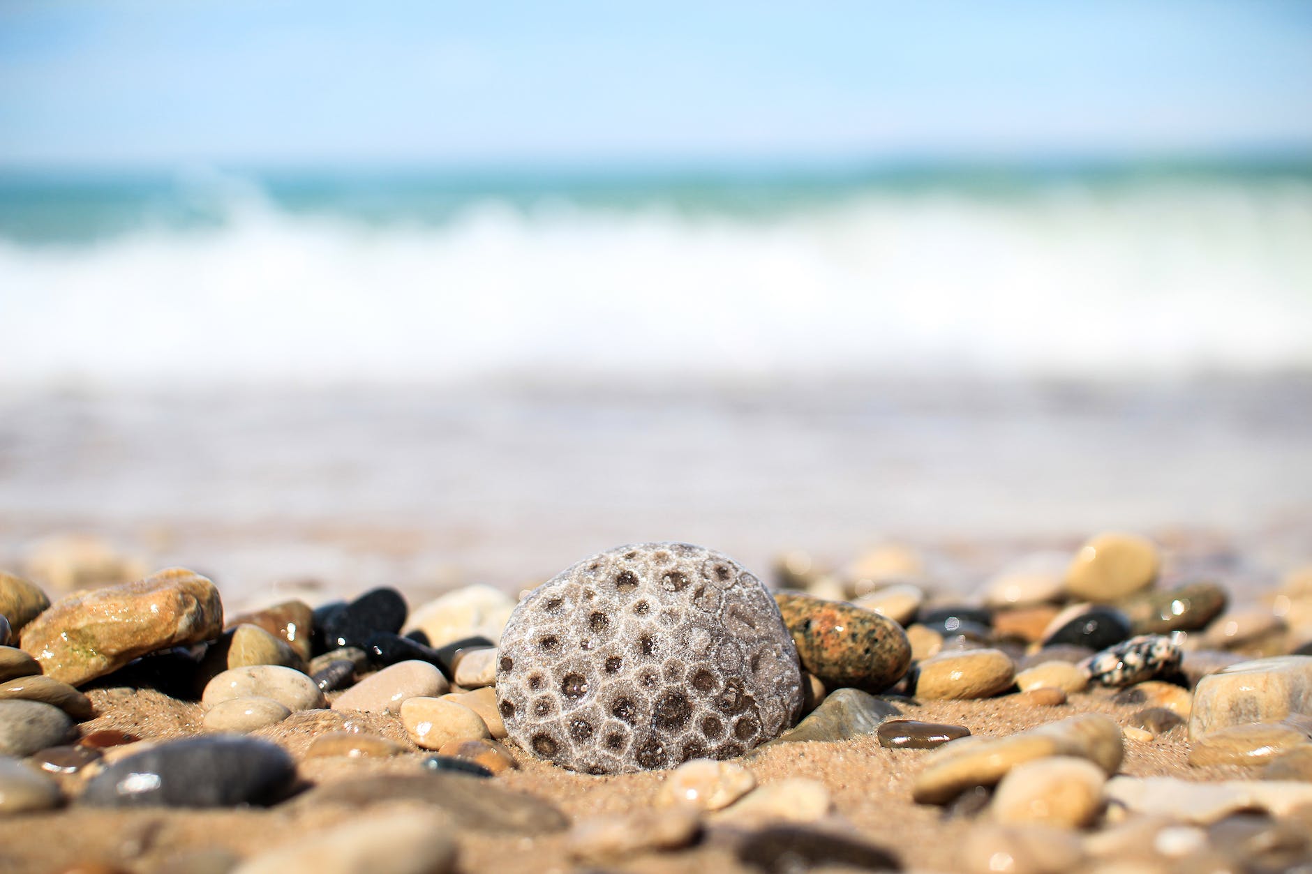 Check out beaches on Lake Michigan.